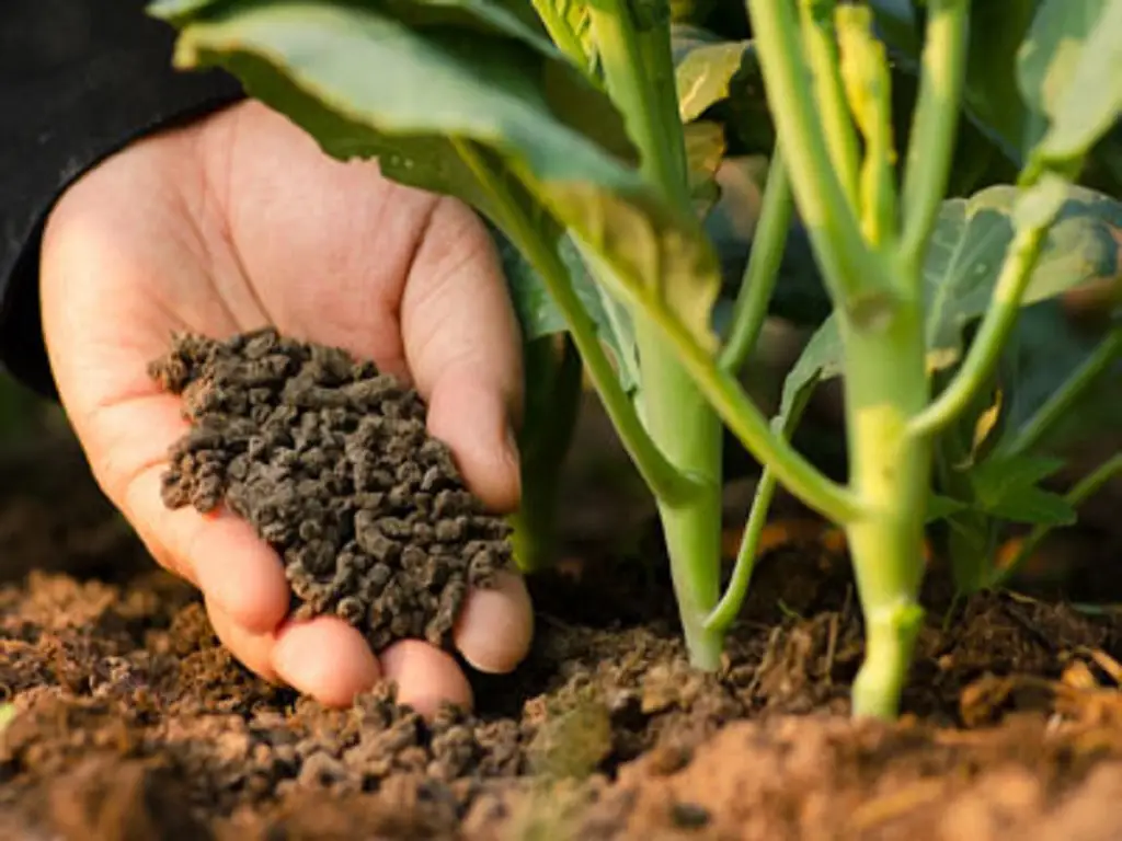 Fertilizers