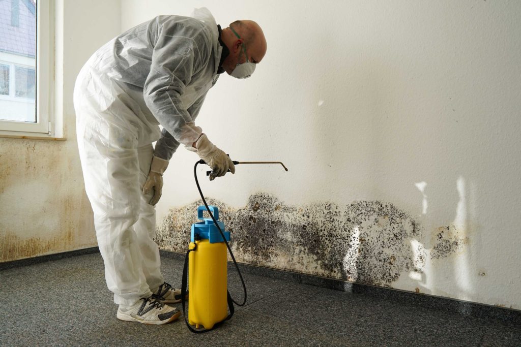 Mold & Pest Control