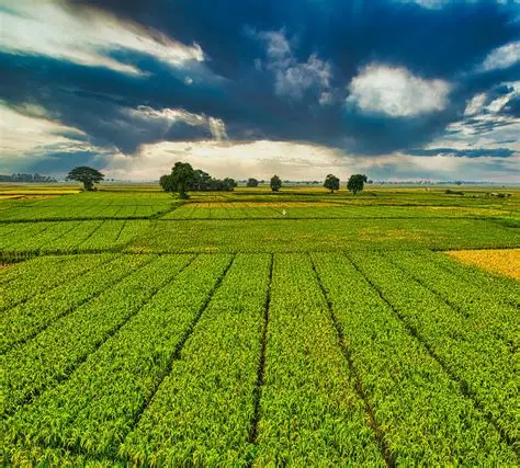 Agriculture