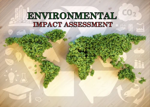Environmental Impact Assessment